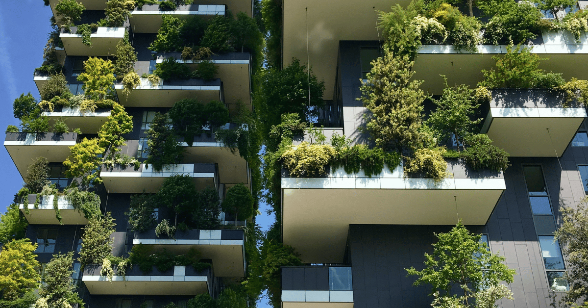 build-to-rent green sustainable living